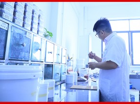 技術(shù)優(yōu)勢(shì)